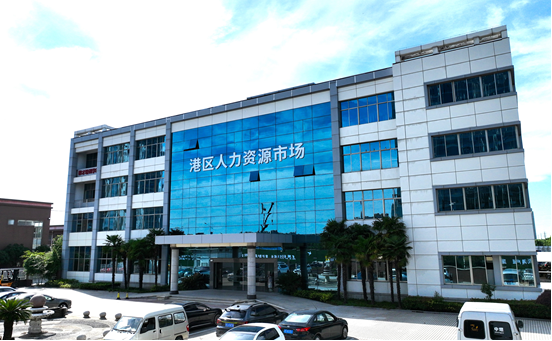 港區(qū)人力資源市場揭牌運作，迎來首場招聘會