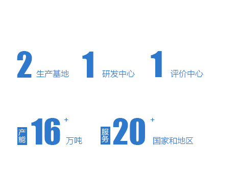 公司實(shí)力